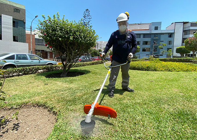 Mantenimiento de Áreas Verdes
